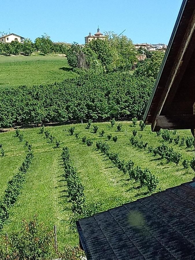 Vite Dipinte 1 Bilocale In Langa Daire Novello Dış mekan fotoğraf